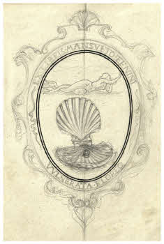 Visualizza l'immagine "FD D 1641"